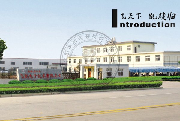 安徽飛凱電子技術(shù)有限公司